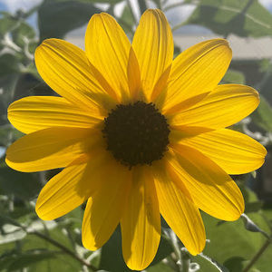 Meet your Posher, Kendall